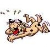 ImagesCAI2AMWO